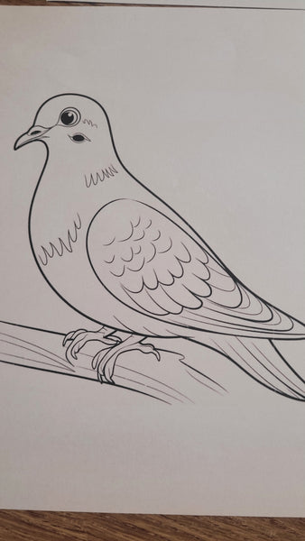 Wool Painting Workshop – Create Handmade Bird Painting with Soft Merino Wool