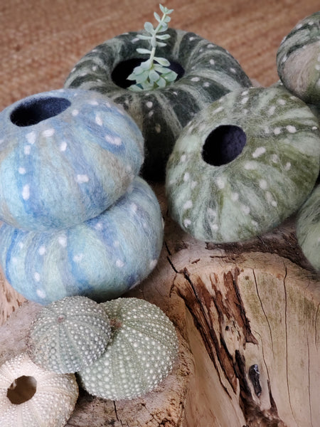 Kina shell vases, sculptures made of merino wool and raw silk. New Zealand icon